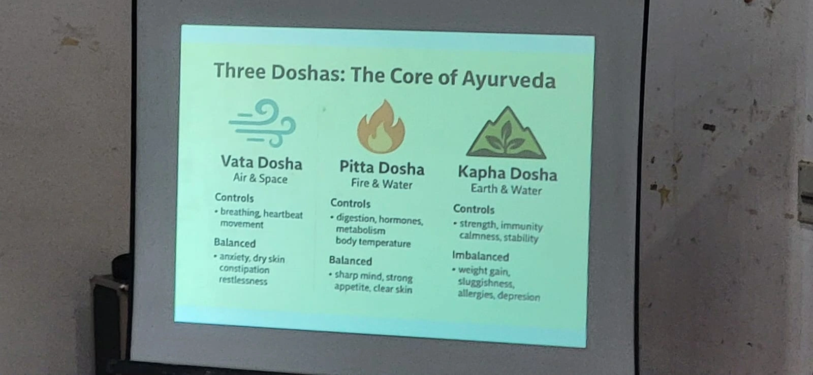 Impact of Ayurveda & Yoga for Health and Mental Well-Being : State-Level Workshop at HIM